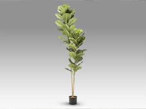 Higuera violin Искусственное растение H200