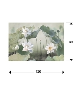 Фотография Nenufares 80x120 см от интернет-магазина IDODOM.RU