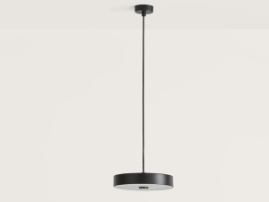 Подвесной светильник Ambor черный