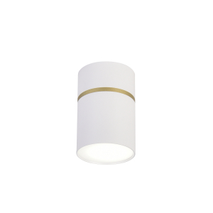 Потолочный светильник Dunia