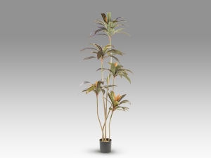 Dracena roja Искусственное растение H220