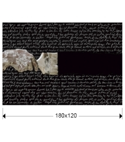 Фотография Poesia 180x120 от интернет-магазина IDODOM.RU