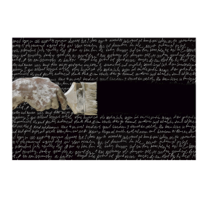 Фотография Poesia 180x120