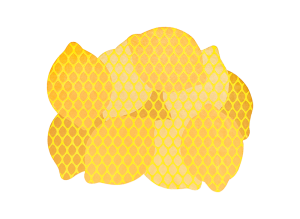 Ковер outdoor citrus lemon