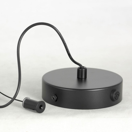 Подвесной светильник Lussole LSP-7016 от интернет-магазина IDODOM.RU