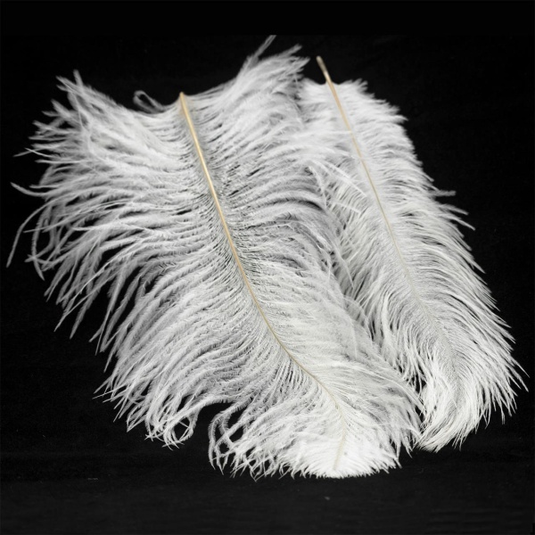 Люстра Lussole GRLSP-8600 от интернет-магазина IDODOM.RU