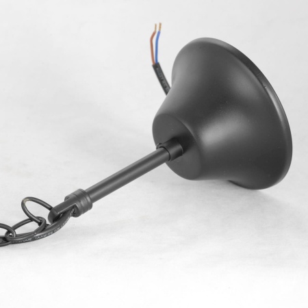 Люстра подвесная Lussole GRLSP-8216 от интернет-магазина IDODOM.RU