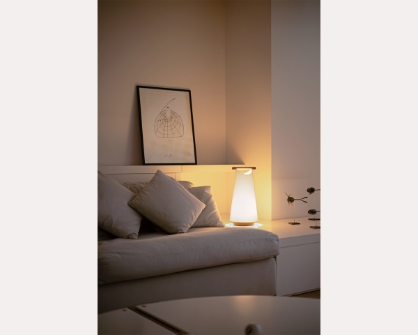 Настольная лампа Catay орех от интернет-магазина IDODOM.RU