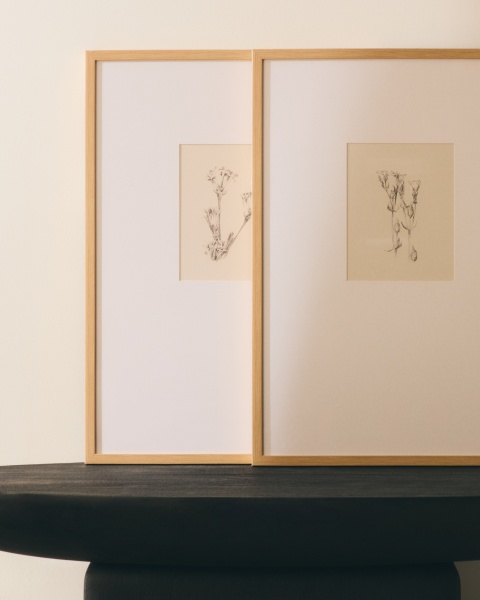 Картина Lirena с ботанической иллюстрацией 50 x 70 см от интернет-магазина IDODOM.RU