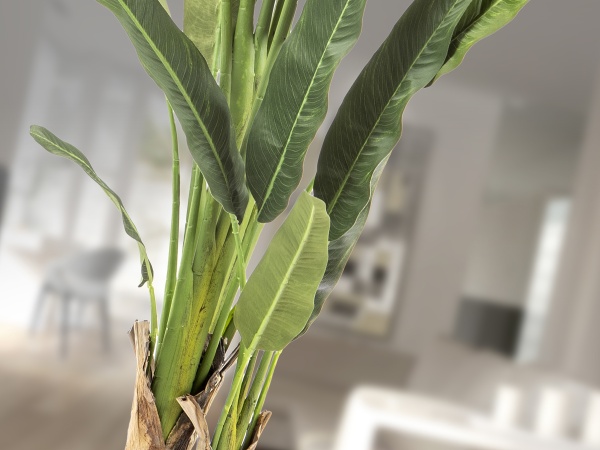 Palma viajero Искусственное растение H240 от интернет-магазина IDODOM.RU