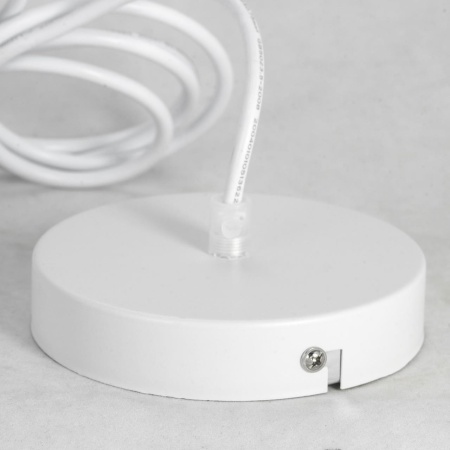 Подвесной светильник Lussole LSP-8220 от интернет-магазина IDODOM.RU