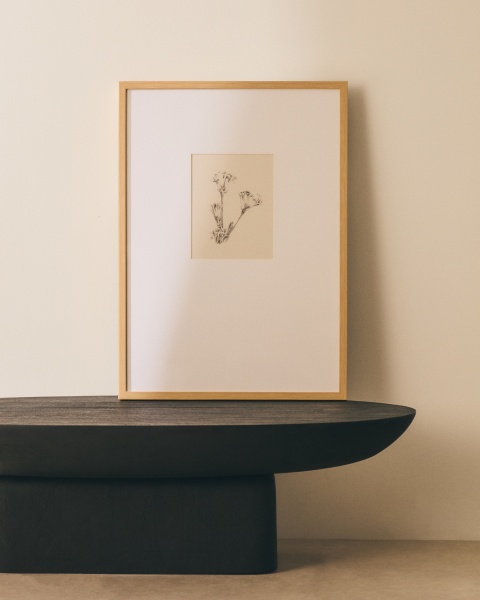 Картина Lirena с ботанической иллюстрацией 50 x 70 см от интернет-магазина IDODOM.RU