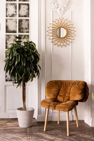 Зеркало Mast Gold от интернет-магазина IDODOM.RU