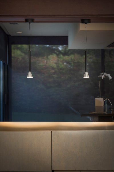 Подвесной светильник Danka матовый никель от интернет-магазина IDODOM.RU