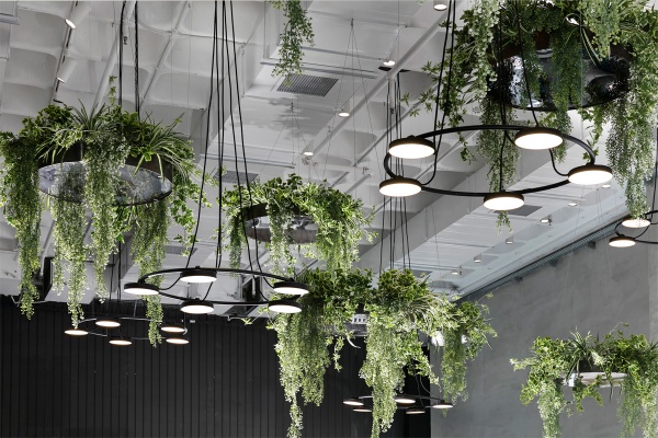 Люстра Aro ARO_3542S 5 L от интернет-магазина IDODOM.RU