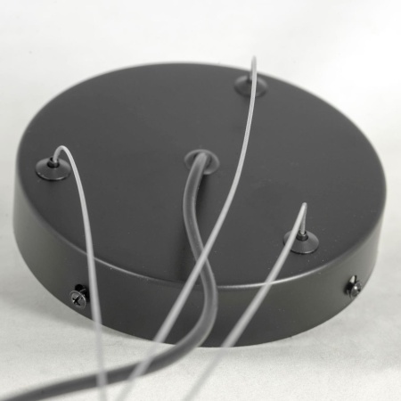 Люстра подвесная Lussole LSP-8750 от интернет-магазина IDODOM.RU