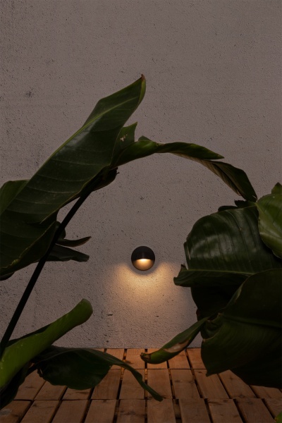 Уличный настенный светильник Brow темно-серый от интернет-магазина IDODOM.RU