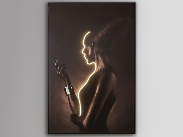 Silueta Светодиодная картина LED 120X180 от интернет-магазина IDODOM.RU