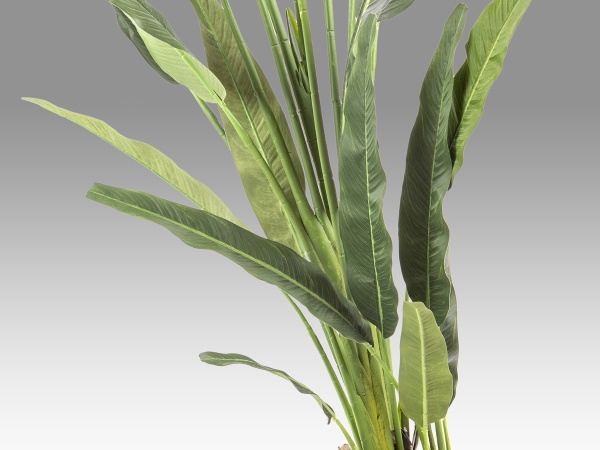 Palma viajero Искусственное растение H240 от интернет-магазина IDODOM.RU