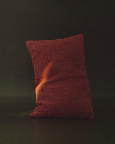 Чехол на подушку Velina из красного льняного жаккарда с узором 30 x 50 см от интернет-магазина IDODOM.RU