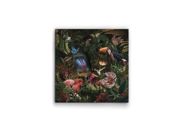 Фотография Selvatica 100x100 см от интернет-магазина IDODOM.RU