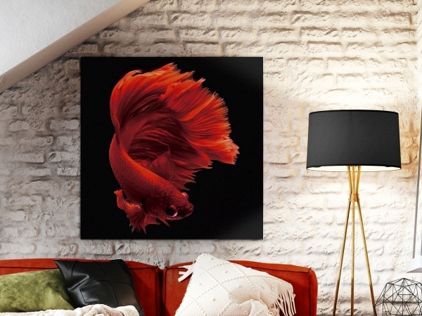 Фотография на стекле Rojo Siam 100x100 от интернет-магазина IDODOM.RU