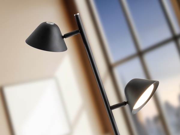 Taros Торшер 2L черный от интернет-магазина IDODOM.RU