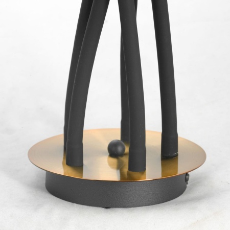 Люстра Lussole  Regina LSP-8342 от интернет-магазина IDODOM.RU