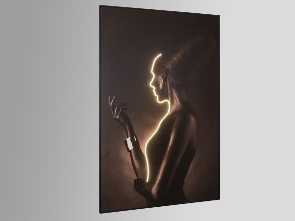 Silueta Светодиодная картина LED 120X180 от интернет-магазина IDODOM.RU