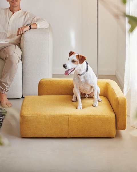 Bowie cover for small bed for pets in mustard от интернет-магазина IDODOM.RU