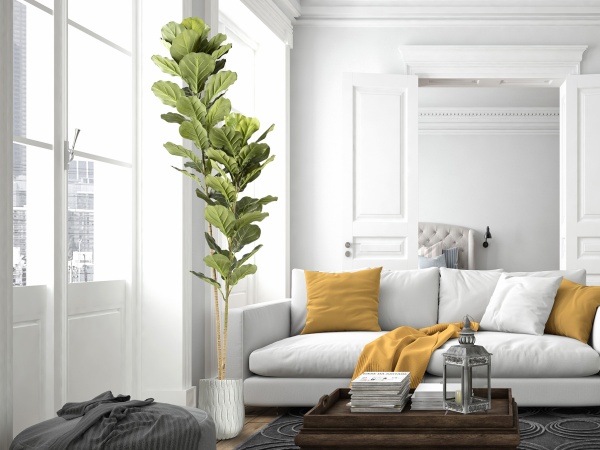 Higuera violin Искусственное растение H200 от интернет-магазина IDODOM.RU