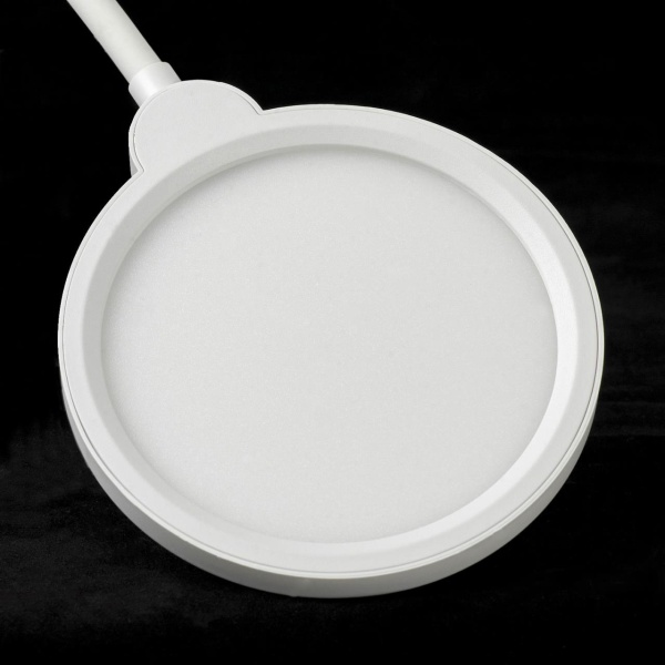 Торшер Lussole LSP-0919 от интернет-магазина IDODOM.RU