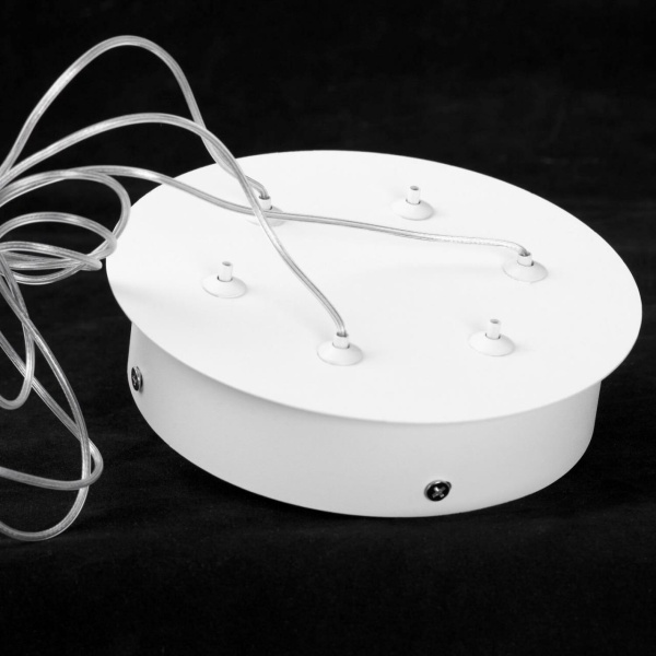 Люстра подвесная Lussole LSP-7316 от интернет-магазина IDODOM.RU