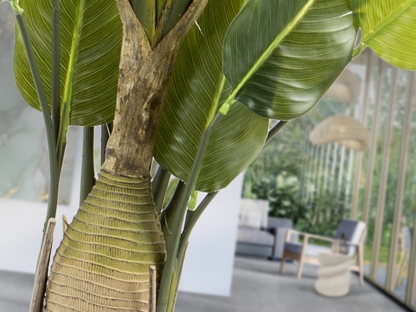 Ave paraiso Искусственное растение H250 от интернет-магазина IDODOM.RU