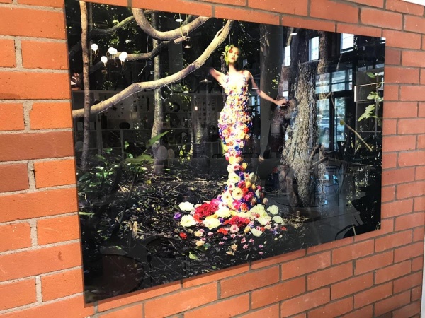 Фотография Eden от интернет-магазина IDODOM.RU