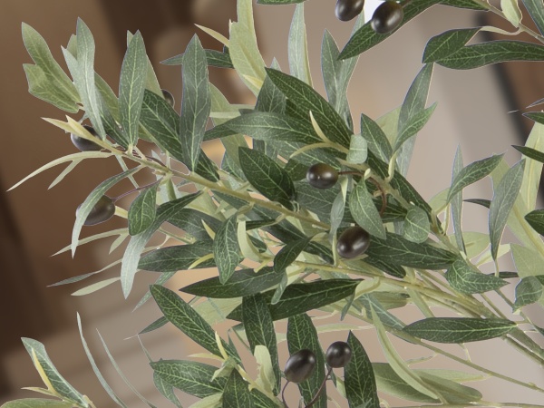 Olivo Искусственное растение H180 от интернет-магазина IDODOM.RU