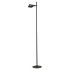 Торшер Lussole SY5950
