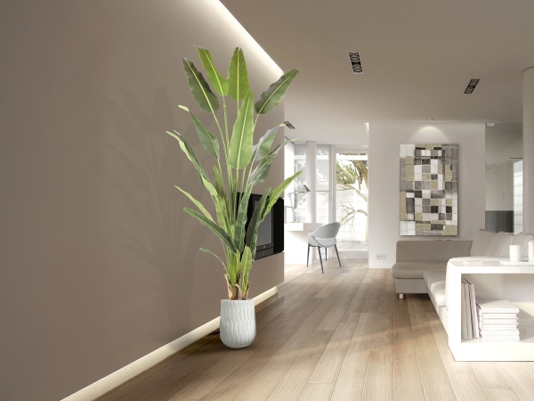 Palma viajero Искусственное растение H240 от интернет-магазина IDODOM.RU