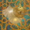 Бра Cloyd POLYNESIA W3 / выс. 28 см - золото (арт.20116) от интернет-магазина IDODOM.RU