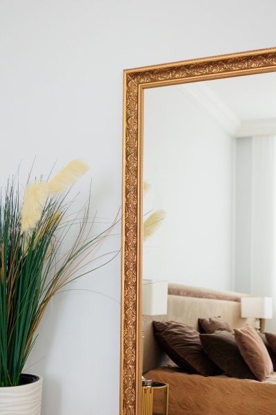 Зеркало Opera от интернет-магазина IDODOM.RU