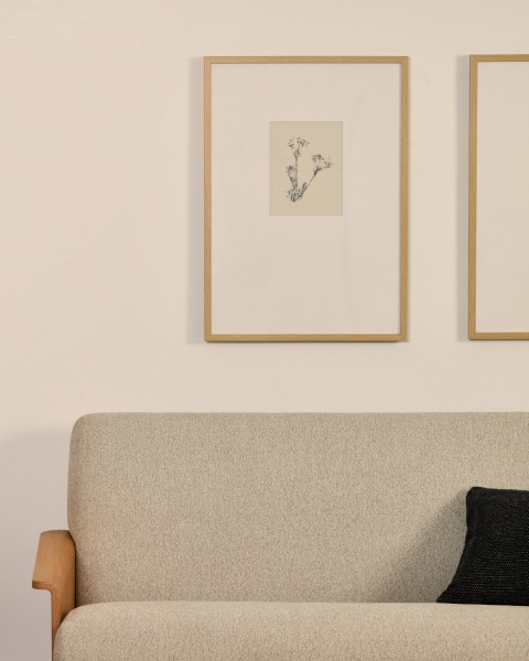 Картина Lirena с ботанической иллюстрацией 70 x 50 см от интернет-магазина IDODOM.RU