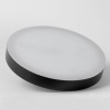 Торшер Lussole SY1090SE от интернет-магазина IDODOM.RU