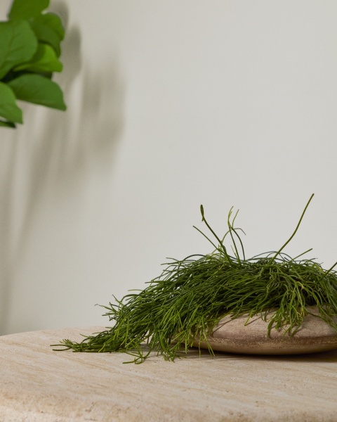 Кашпо Rivor из терракоты с натуральной отделкой Ø 50 см от интернет-магазина IDODOM.RU