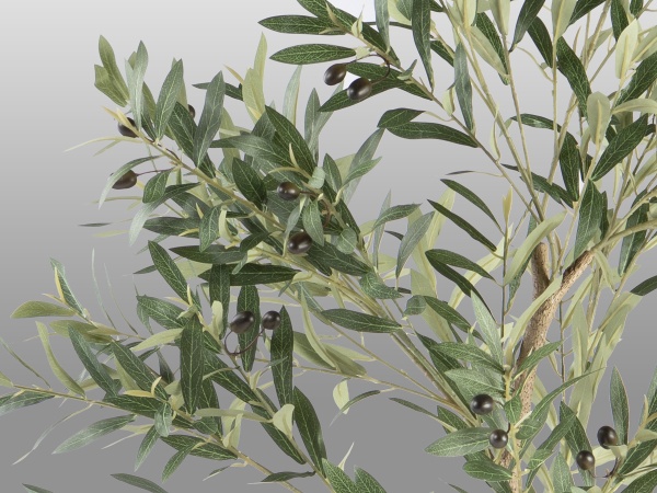 Olivo Искусственное растение H180 от интернет-магазина IDODOM.RU