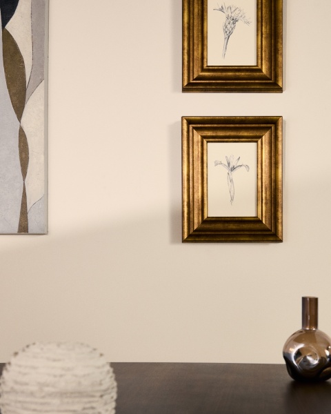 Картина Yalira с ботанической иллюстрацией 70 x 32,8 см от интернет-магазина IDODOM.RU