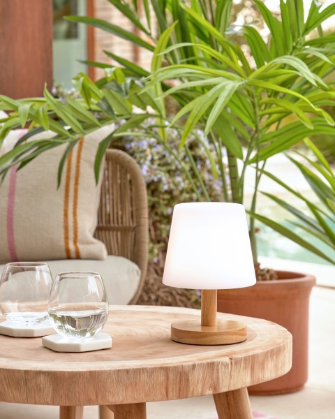 Настольная переносная лампа Ambar из полиэтилена и дерева от интернет-магазина IDODOM.RU