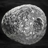 Люстра потолочная Lussole SY0278 от интернет-магазина IDODOM.RU