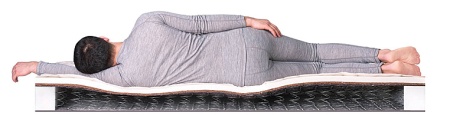 SleepDream Hard BS-120 от интернет-магазина IDODOM.RU