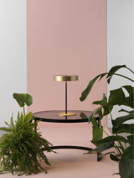 Настольная лампа Ambor черный - латунь от интернет-магазина IDODOM.RU