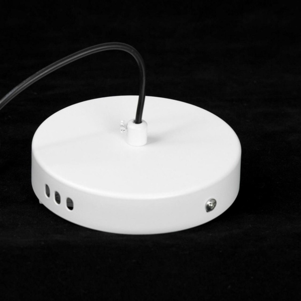 Подвесной светильник Lussole LSP-7341 от интернет-магазина IDODOM.RU